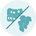 Mesothelioma Cell Types